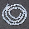 Glass Beads Strands EGLA-A034-J3mm-D06-2