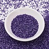 MIYUKI Delica Beads SEED-JP0008-DB1810-2