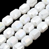 Electroplate Column Glass Beads Strands EGLA-A043-02-M-2
