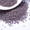 MIYUKI Delica Beads X-SEED-J020-DB1064-1