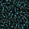 TOHO 6/0 Round Beads SEED-XTR06-0027BD-4
