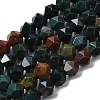 Natural Bloodstone/Heliotrope Beads Strands G-Z119-A16-02-3