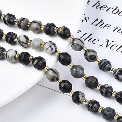 Natural Netstone Beads Strands G-N326-100-10-1