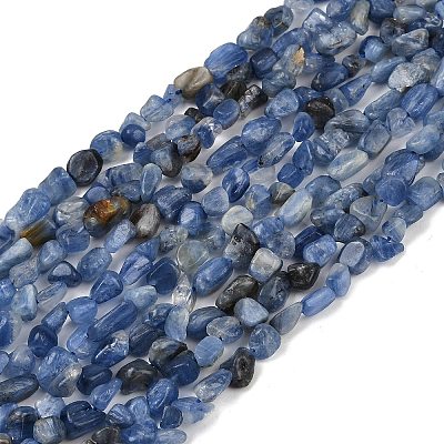 Natural Kyanite Beads Strands G-Q060-D17-1