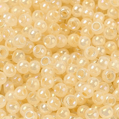 Glass Seed Beads SEED-H002-H-1308-1