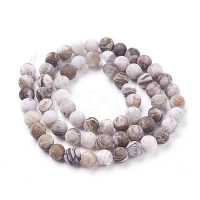Natural America Petrified Wood Beads Strands G-P430-03-B-1