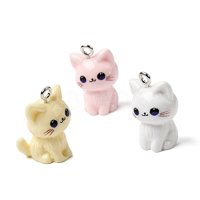 Opaque Resin Pendants X-RESI-F065-02-1