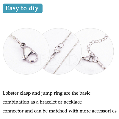 304 Stainless Steel Lobster Claw Clasps STAS-PH0019-50P-1