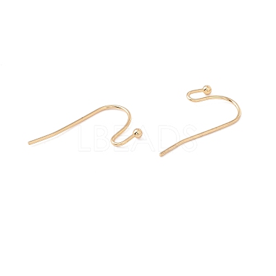 316 Surgical Stainless Steel Earring Hooks X-STAS-P307-07G-1
