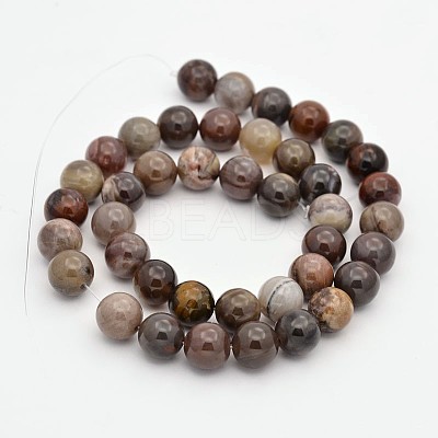 Natural Petrified Wood Round Beads Strands G-P101-01-10mm-1