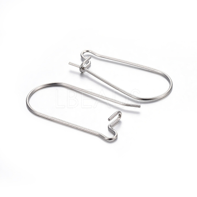 Tarnish Resistant 304 Stainless Steel Hoop Earring Findings LS-STAS-P223-01P-04-1