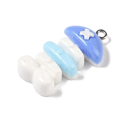 Ocean Theme Opaque Resin Pendants RESI-S403-02I-1