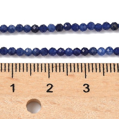 Natural Sodalite Beads Strands G-D306-A01-2mm-A-1