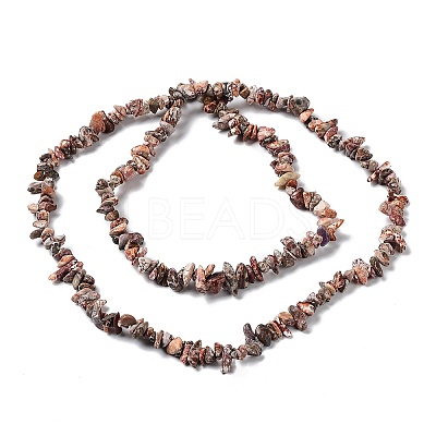 Natural Leopard Skin Jasper Chip Beads Strands G-G905-11-1