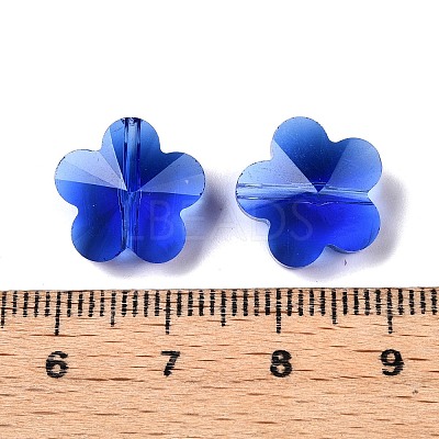 Transparent Glass Beads GLAA-Q066-14mm-C07-1