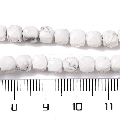 Natural Howlite Beads Strands G-G001-B02-06-1