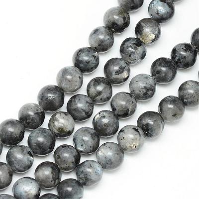 Natural Larvikite Beads Strands G-R345-12mm-33-1