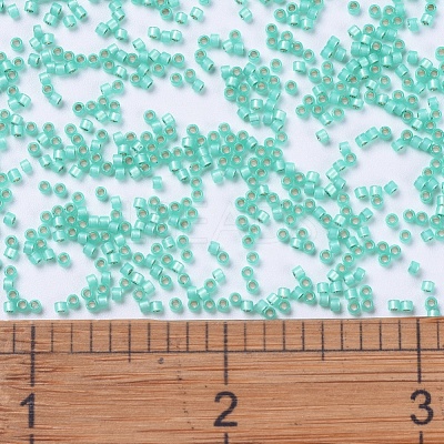 MIYUKI Delica Beads SEED-X0054-DB0627-1