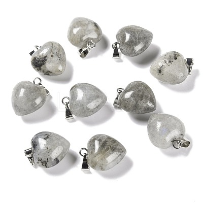 Natural Labradorite Pendants G-I311-A03-1