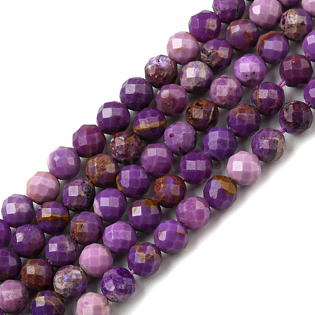 Natural Lepidolite/Purple Mica Stone Beads Strands G-C052-06-1