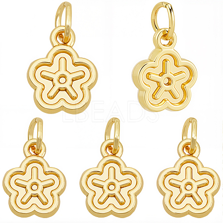 30Pcs Alloy Charms FIND-BBC0004-81-1