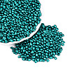 Baking Paint Glass Seed Beads GLAA-Q119-01-B03-1