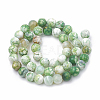Dyed Natural Crackle Agate Beads Strands G-T100-03E-2