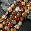 Flat Round Gemstone Natural Red Agate Stone Beads Strands X-G-S110-03-1