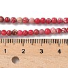Dyed Natural Regalite/Imperial Jasper/Sea Sediment Jasper Beads Strands G-B124-C05-09-2