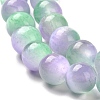 Natural Selenite Beads Strands G-P493-03F-3