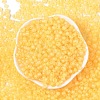 6/0 Luminous Glass Seed Beads X1-SEED-NH0001-01L-3