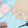 Polyester Organza Ribbons SRIB-WH20020-003A-04-4
