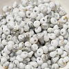 Baking Paint Glass Seed Beads X1-SEED-F006-01A-09-3