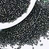 MIYUKI Delica Beads X-SEED-J020-DB0613-1