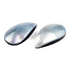 Natural Turbo Cornulus/Top Shells Cabochons SSHEL-N003-158A-4