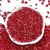 6/0 Spray Paint Fringe Glass Seed Beads SEED-H003-11F-3
