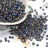 Glass Seed Beads SEED-Z001-B-C02-1