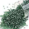 TOHO Round Seed Beads X-SEED-TR11-2202-1