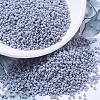MIYUKI Round Rocailles Beads SEED-X0054-RR0498-1