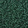 MIYUKI Round Rocailles Beads X-SEED-G007-RR0147F-3