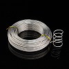 Raw Round Aluminum Wire AW-S001-2.0mm-21-4