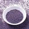 MIYUKI Delica Beads SEED-X0054-DB0869-2