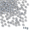 10G Glass Seed Beads SEED-YW0003-03E-1