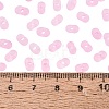 FGB Frosted Transparent Glass Seed Beads SEED-N013-06A-05-4