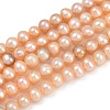 Natural Cultured Freshwater Pearl Beads Strands PEAR-I007-07Y-01B-2