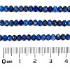Natural Lapis Lazuli Beads Strands G-L587-B04-02-4