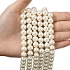 Eco-Friendly Dyed Glass Pearl Round Beads Strands HY-A002-10mm-RB011-4