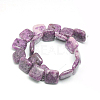 Natural Lepidolite/Purple Mica Stone Beads Strands G-L253-03-2