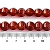 Dyed & Heated Natural Carnelian Beads Strands G-G177-I01-01-5