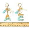 Transparent Epoxy Resin Pendant Keychains KEYC-FS00022-17-3